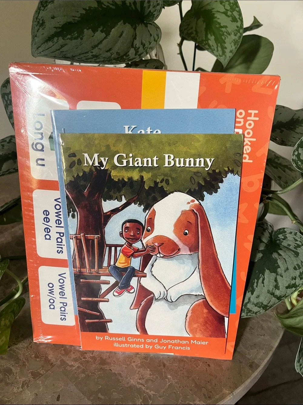 Hooked on Phonics 2 Books My Giant Bunny Kids Book